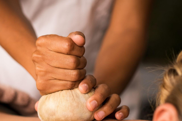 دلهي: جولة ليوم واحد في الأيورفيدا والثقافة والطهي