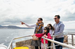 Los Cristianos: Öko-Yacht Whale-Watching-Bootsfahrt mit Schwimmen