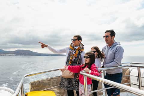 Los Cristianos eco-yacht whale watching cruise with swim