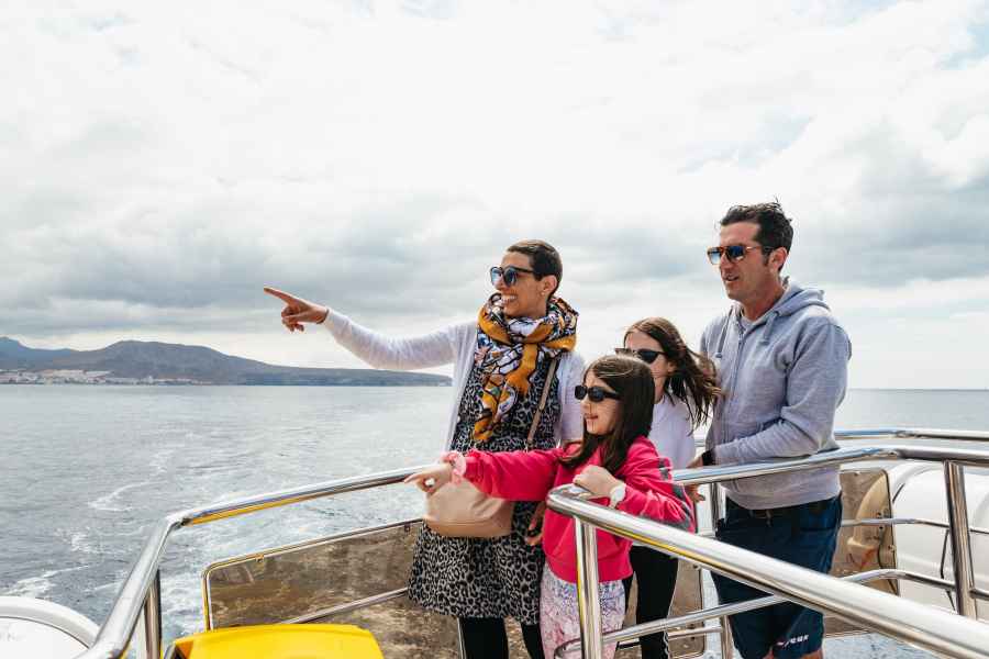 Los Cristianos: Öko-Yacht Walbeobachtungstour mit Schwimmen