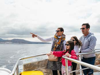 Los Cristianos: tour in eco-yacht con balene e nuotata