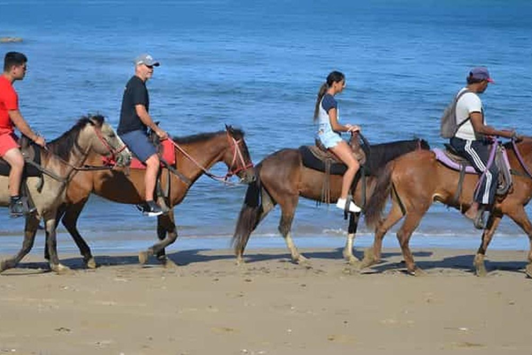 Puerto Plata: Horseback Riding Tour with Lunch & Transfer