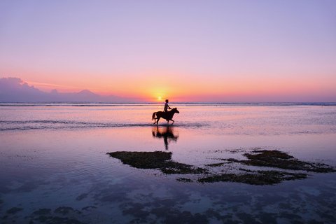 From Bali: One-Way Transfer to Gili Trawangan + Hotel Pickup From Bali to Gili Trawangan Round Trip
