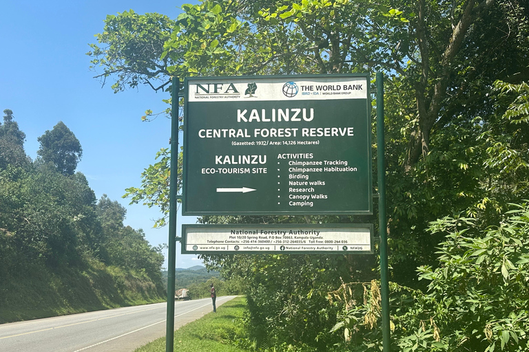 7 Day Rwanda Uganda Culture and Primate Safari Adventure