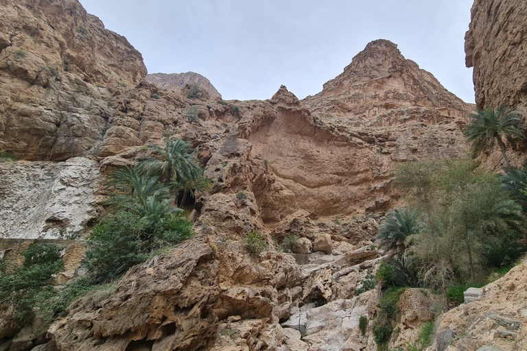 Muscat: Fins View, Wadi Jahal & Bimmah Tour