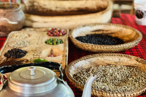 1 Day Private Cultural tour to Materuni Waterfalls & Chemka