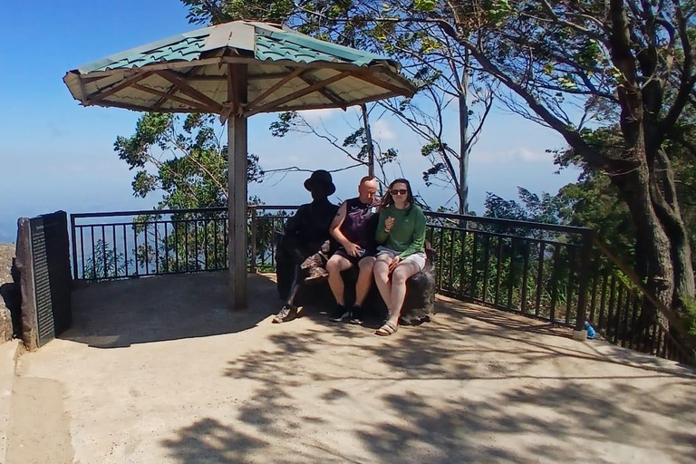 ELLA Lipton Seat Tea Test & Pluck 9Arch, Waterfalls, & Food Lipton's Seat, Little Adam Peak, 9 Arch, Ravana Waterfalls