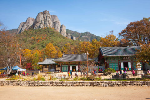 Busan: Mt. Jiri or Juwangsan Park Autumn Foliage Day Tour JIRISAN Foliage Shared Tour, Meet at Haeundae Station