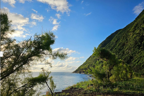 São Jorge: Inselrundfahrt bis zu 4 Stunden.Insel São Jorge: Rundfahrt 4Stunden.