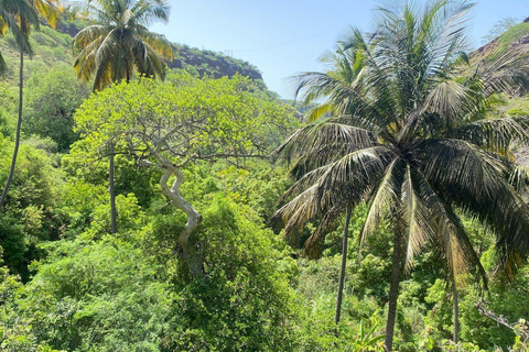 普拉亚：卡拉巴塞拉-老城区徒步之旅，咖啡休息和朗姆酒品尝海滩：卡拉巴塞拉步行-老城区，咖啡休息和朗姆酒品尝