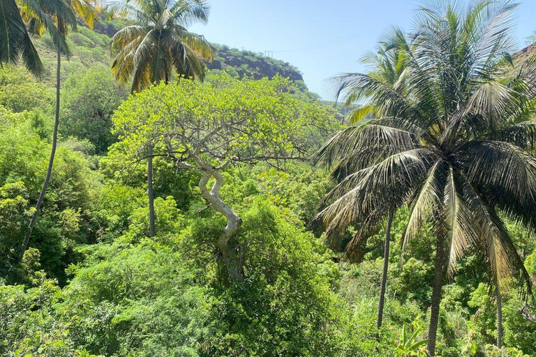 普拉亚：卡拉巴塞拉-老城区徒步之旅，咖啡休息和朗姆酒品尝海滩：卡拉巴塞拉步行-老城区，咖啡休息和朗姆酒品尝