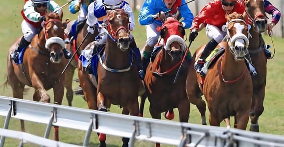 Mauritius: Horse Racing Experience with Local Guide