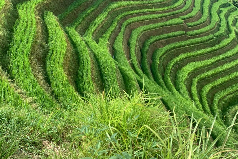 Guilin: Longji Rice Terraces & Minority Villages 2-Day Tour Guilin: Longji Rice Terraces & Minority Villages 2-Day Tour