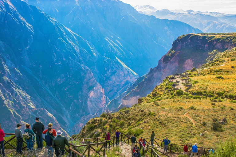 From Arequipa: Tour Colca Canyon 2 Days with Final in Puno