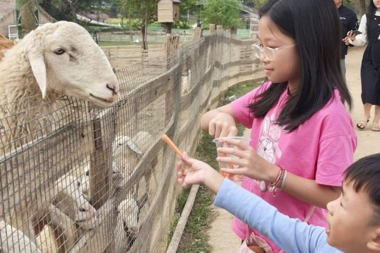 Hanoi: Rainbow Slide & Horse Riding – Small Group Half-day