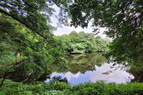 Mumbai: Parco Naturale del Maharashtra - Percorso naturalistico guidatoMumbai: Percorso naturalistico guidato nel Maharashtra Nature Park