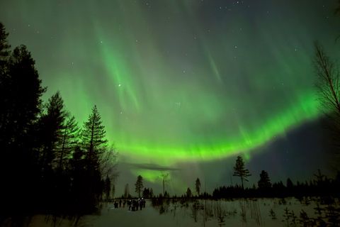 Rovaniemi: Northern Lights Hunt with Campfire & Snacks