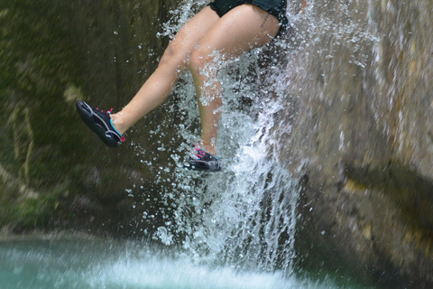 Excursão em terra: Cachoeiras de Damajagua e encontro com macacosExcursão em terra às Cataratas de Damajagua e encontro com macacos