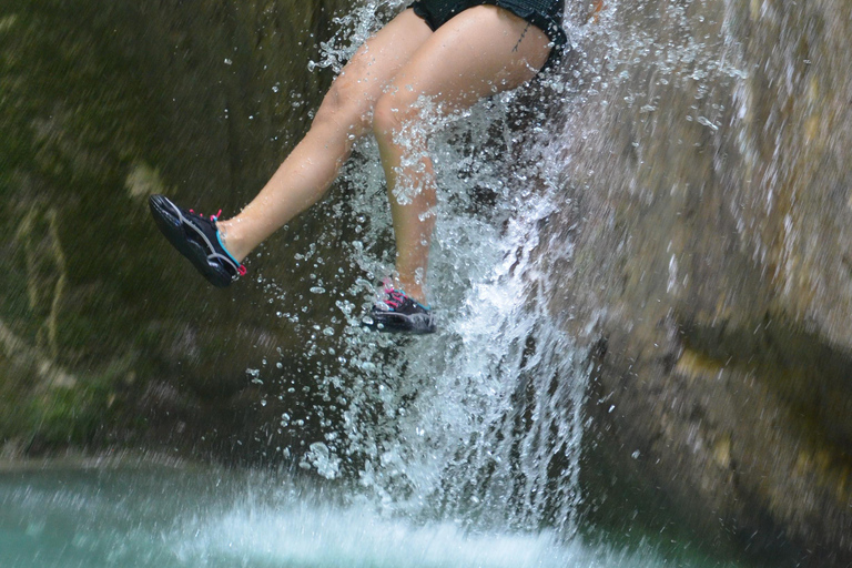 Excursão em terra: Cachoeiras de Damajagua e encontro com macacosExcursão em terra às Cataratas de Damajagua e encontro com macacos