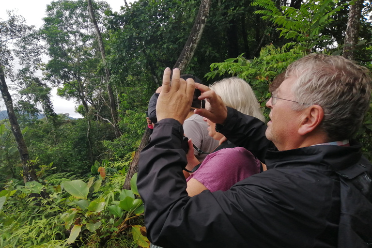 Excursión de 4 días por la selva Expedición Amazonia Todo Incluido