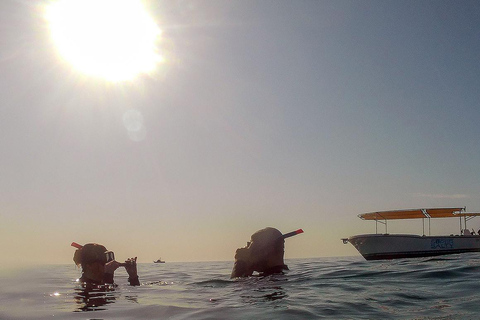 San Jose del Cabo Snorkeling Tour