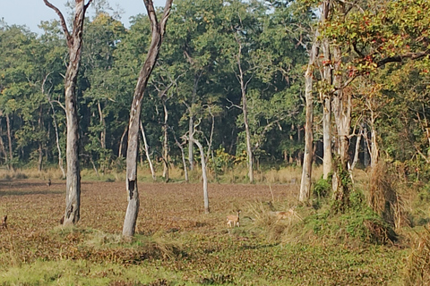 3 Noches 4 Días Parque Nacional de Chitwan con Estancia Nocturna en la Torre