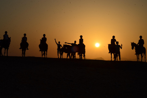 Marsa Alam: Passeio a cavalo pelo mar e pelo deserto