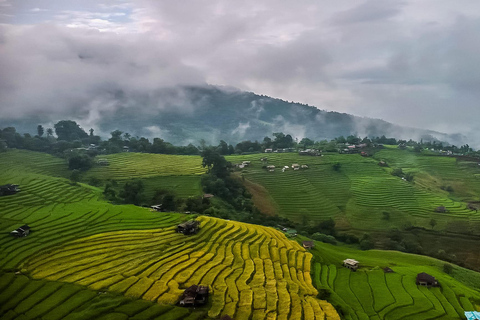 Chiang Mai : Terrazas de arroz de Pa Bong Piang y Doi Inthanon