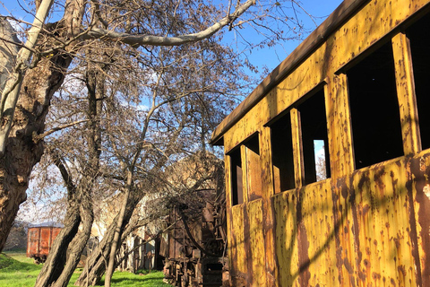 Beirut: Baalbek, Anjar & Ksara Private Tour