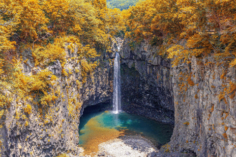 Da Seul: Tour di un giorno della DMZ e del Geoparco UNESCO delle Cascate di JaeinPartenza dalla stazione DHCP Uscita 10