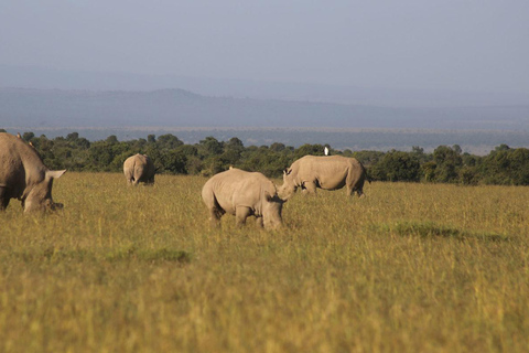 Aberdare National Park Day Excursion From Nairobi Aberdares National Park Day tour From Nairobi