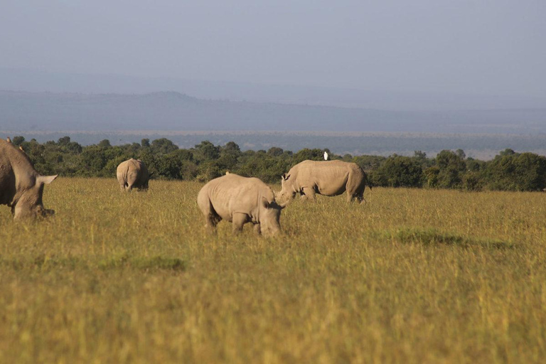 Aberdare National Park Day Excursion From Nairobi Aberdares National Park Day tour From Nairobi