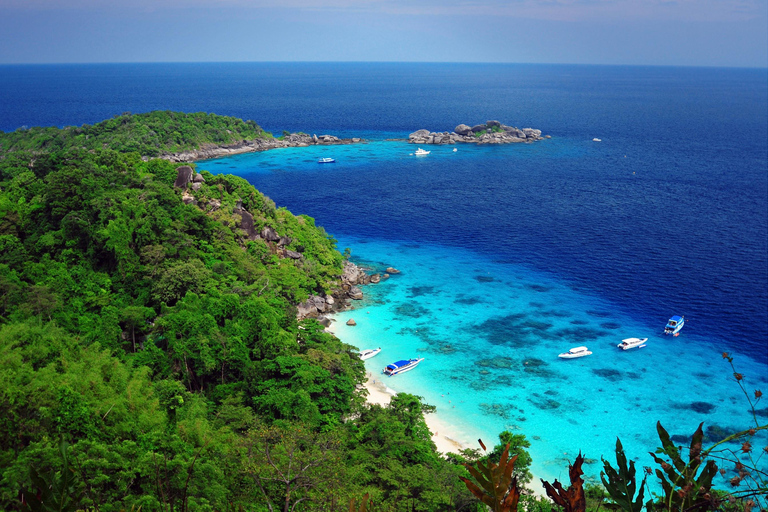 Phuket/Khaolak : excursion en catamaran à grande vitesse dans les îles Similan