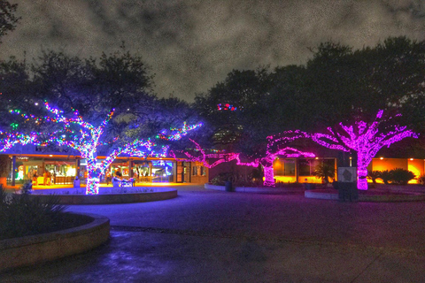 Feriado mágico em Houston: Aventura de Natal encantadora