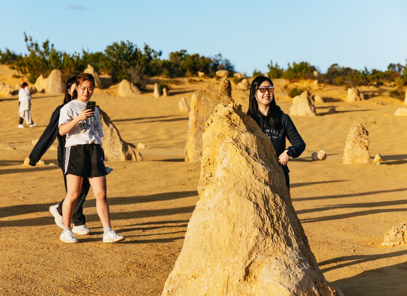 Fra Perth: The Pinnacles Desert Sunset and Star-Gazing Tour