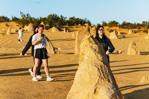 Pinnacles: Desert Sunset i Star-Gazing Tour z Perth