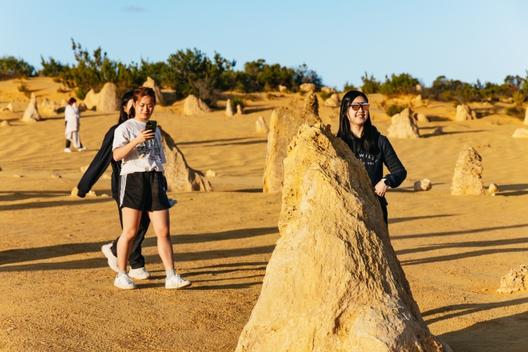 The Pinnacles: Desert Sunset and Star-Gazing Tour from Perth