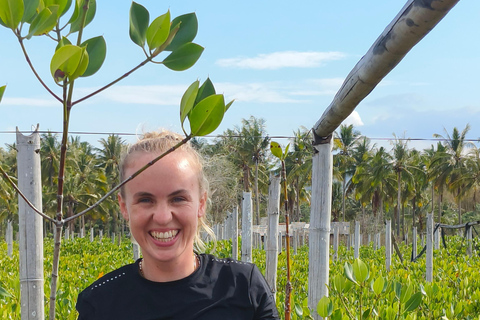 Bagek Kembar: Mangrove & Stingless Beekeeping Experience