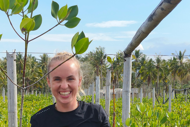 Bagek Kembar: Mangrove & Stingless Beekeeping Experience