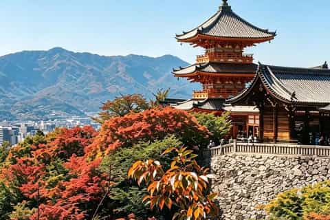 Kyoto: Private Sightseeing Tour at an Easy Pace with Family Photos - Image 3