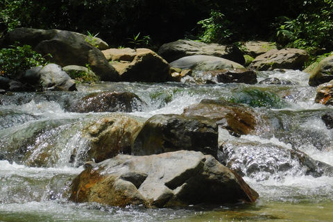 Santa Marta: San Isidro de La Sierra Waterfall Day Tour