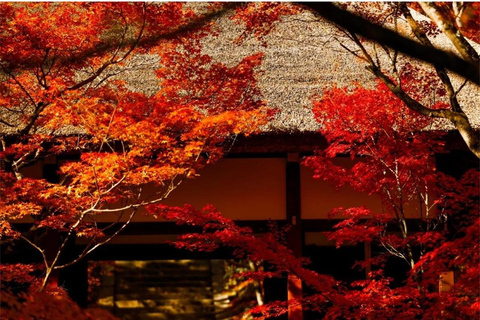 Osaka: Kyoto Private Day Tour with Sagano Scenic Railway Private Car Package