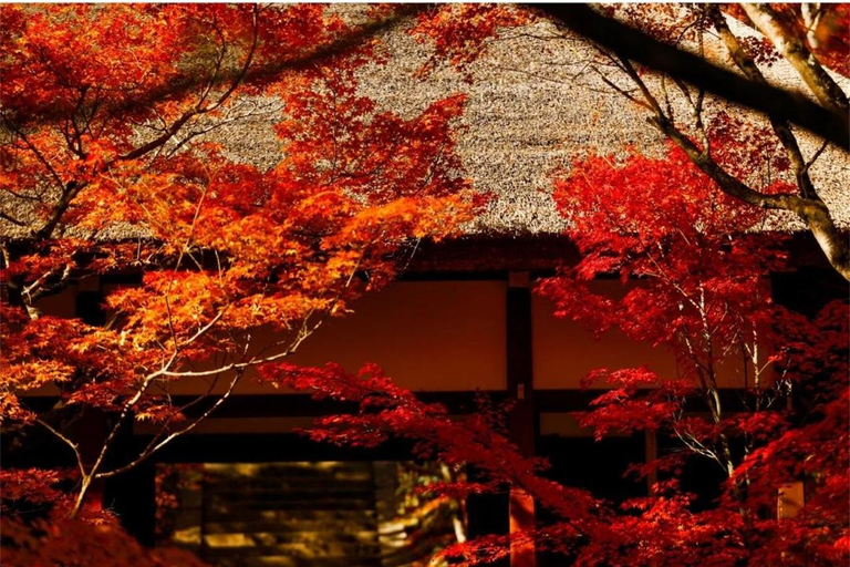 Osaka: Kyoto Private Day Tour with Sagano Scenic Railway Private Car Package