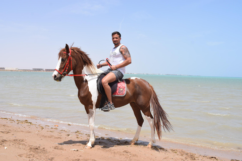 Hurghada: Swimming & Horse riding with FREE Photos & Videos 2-Hour Horse Swimming & Photos with Transfer