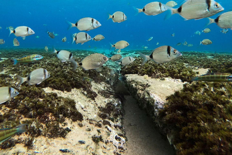 Sidi Mechreg: Guided Coastal Adventure with Lunch & Hike