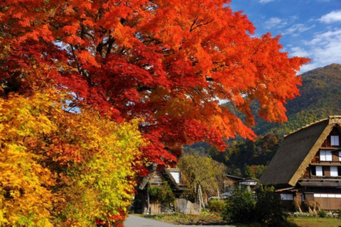 Nagoya: Takayama &amp; Shirakawa-go Day Trip w/ Hida Pork LunchNagoya: escursione di un giorno a Takayama e Shirakawa-go con pranzo a base di maiale di Hida