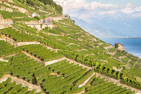 Escursione privata di un giorno: Losanna a Vevey, Montreux e il Castello di Aigle