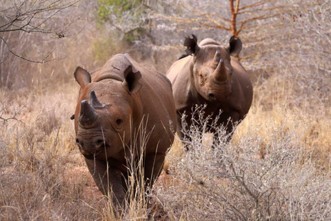 Tanzania: 10-Day Luxury Lodge Safari & Zanzibar Beaches