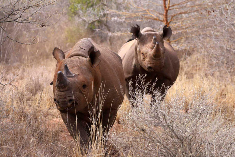 Tanzania: 10-Day Luxury Lodge Safari & Zanzibar Beaches