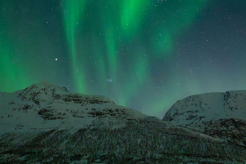 Tromsø: Reindeer Camp Visit & Aurora Chase